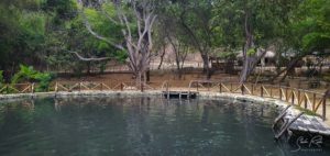 Agua Blanca Ecuador Mud pool