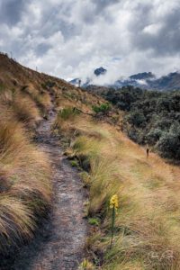 Cajas National Park Hiking trail