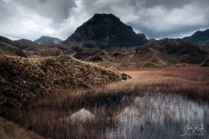 Cajas National Park Moor