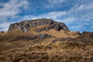 Cajas National Park Rock