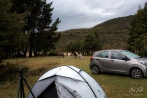 Cotopaxi Camping Ecuador