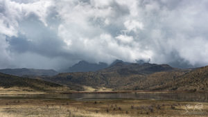 Cotopaxi National Park Ecuador Laguna De Limpiopungo Lake See