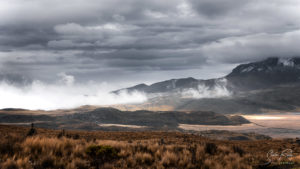 Cotopaxi National Park Valley in clouds