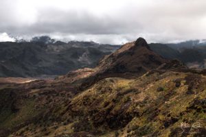 Ecuador El Agua y la Vida Mountains Reserva Ecologica Cayambe Coca