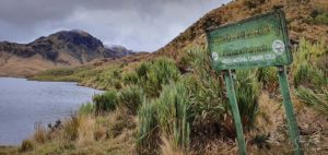 Ecuador Laguna Parcachocha Parque Nacional Cazambe Coca