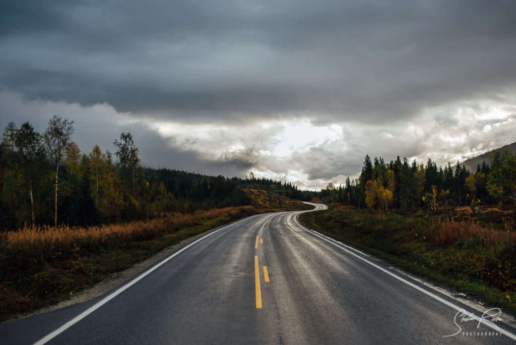 Norway Anderdalen National Park Road