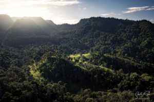 Cloud Forest Drone image Green Mindo Plains