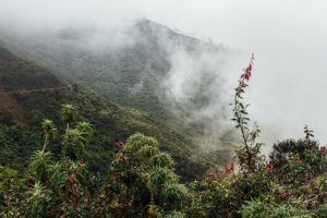 Fog at Rim of Pululahua