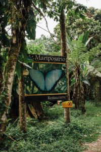 Garden Mariposa House Mindo