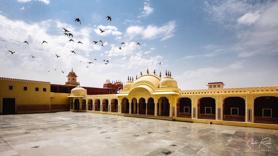 Birds Delhipalace India