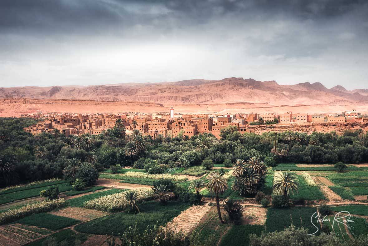 Morocco Palms Tinghir Valley